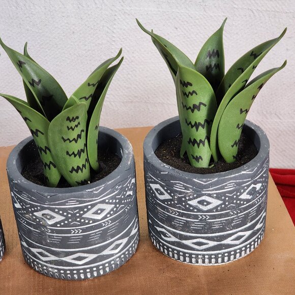 Faux Plants in Grey Tribal Print Faux Cement Pots Set of 3 4"Wx9"H - Picture 10 of 16